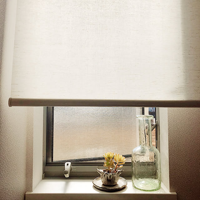 naoさんの実例写真