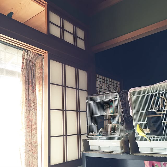 torihanaさんの実例写真
