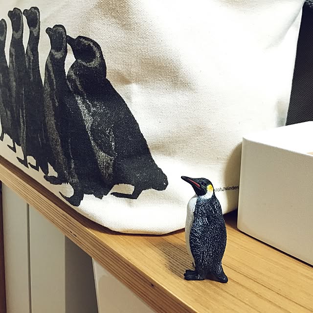 Naokiさんの実例写真