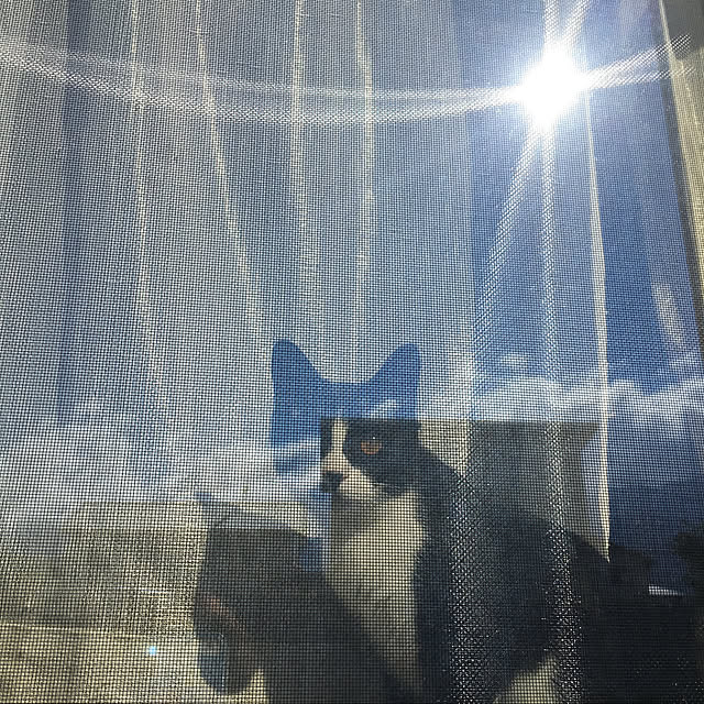 nekoさんの実例写真