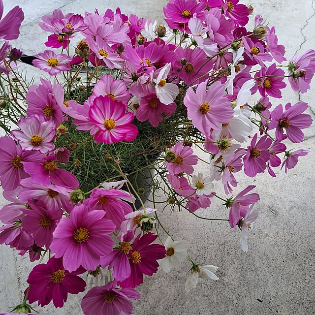 tammyさんの部屋