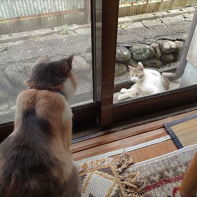 fukuさんの部屋