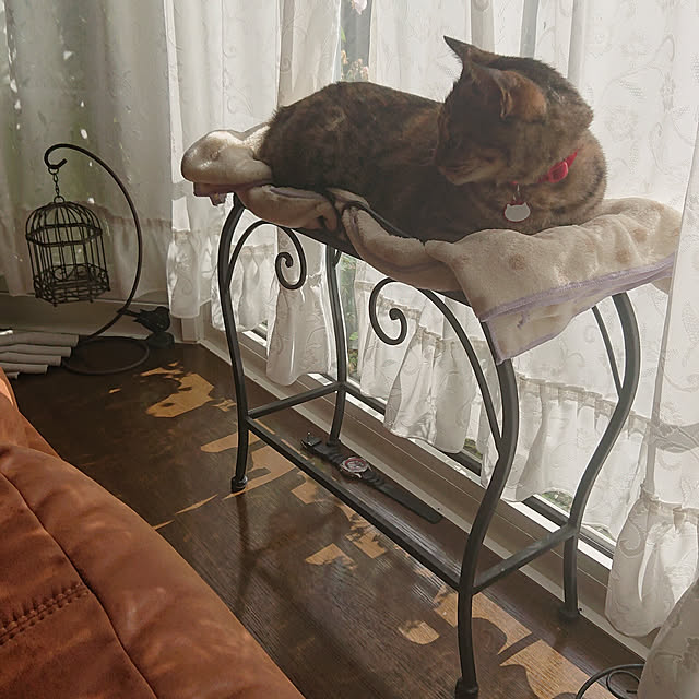 tyunaさんの実例写真