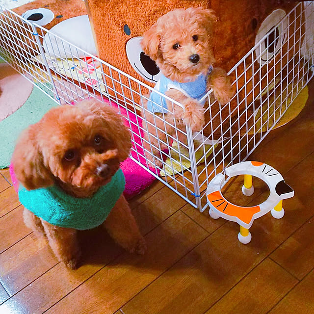 cherrycherryさんの実例写真