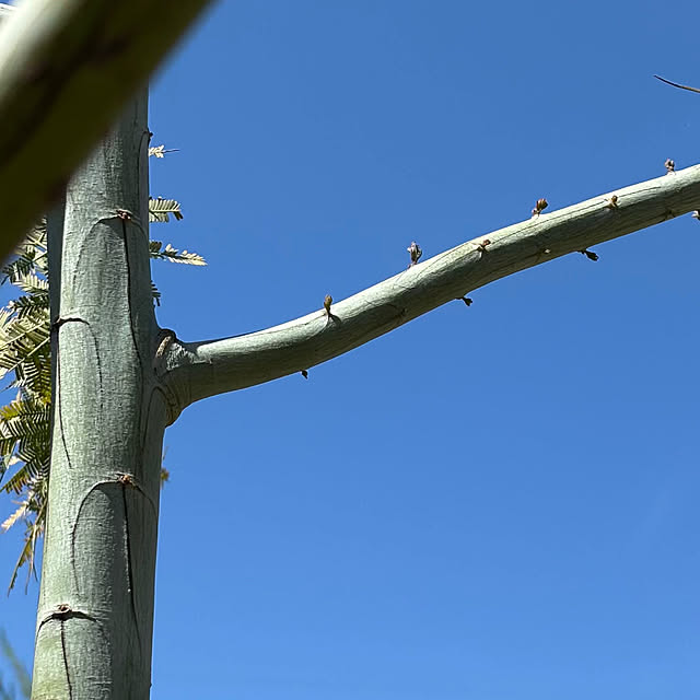 momocchiさんの部屋