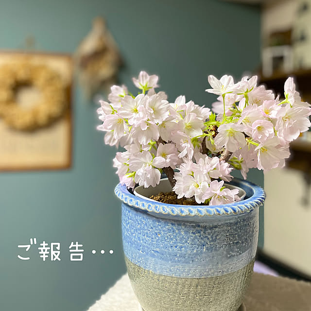 cocomaroさんの実例写真