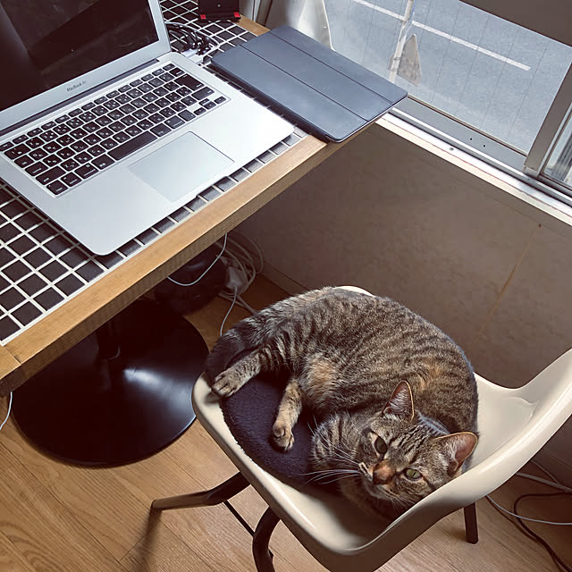 chihiroさんの実例写真