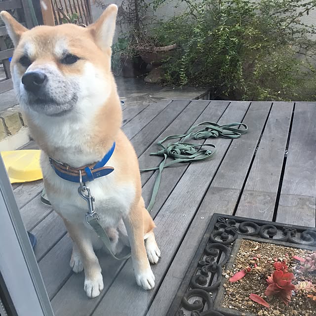 kotaさんの実例写真