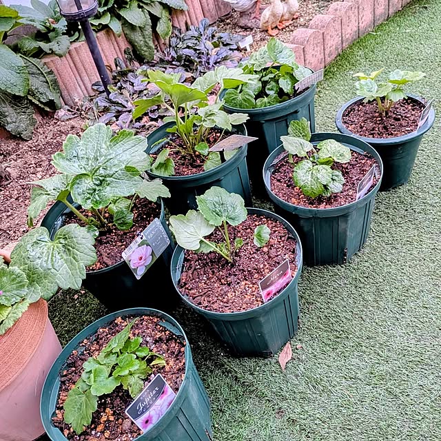 ponchanさんの部屋