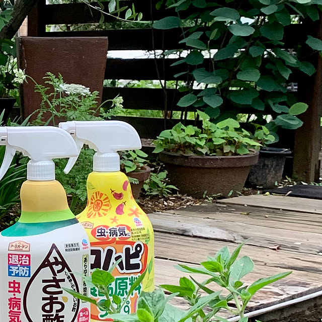 igukenさんの実例写真