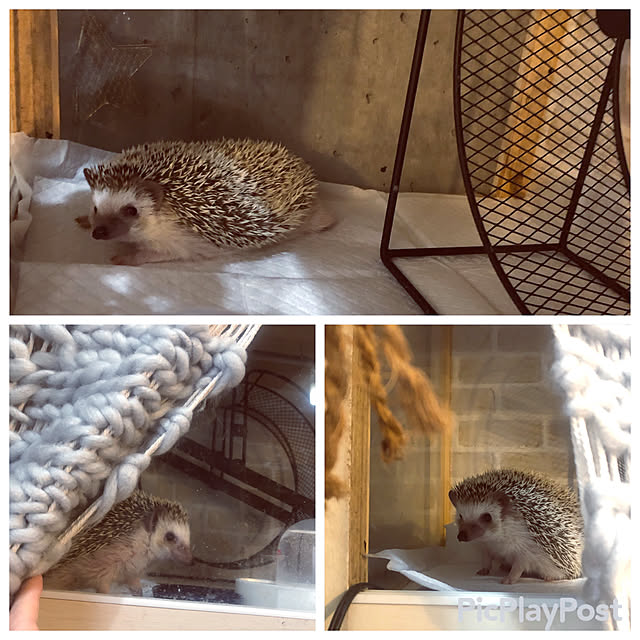 Chikakoさんの実例写真