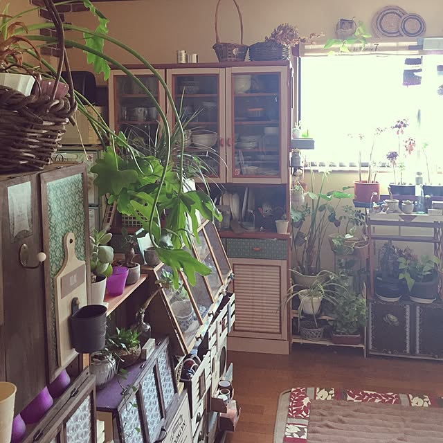 Norikoさんの実例写真