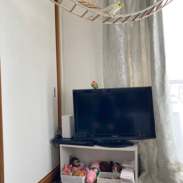 toratanさんの部屋