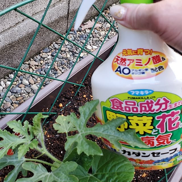 totoroさんの実例写真