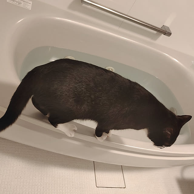 Marikoさんの実例写真