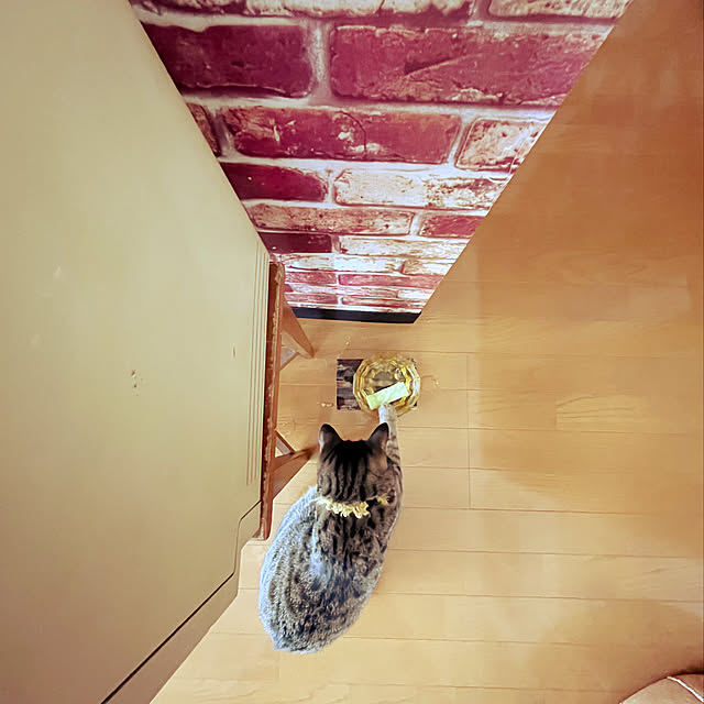 Mさんの実例写真