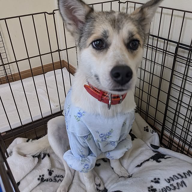 asaさんの実例写真