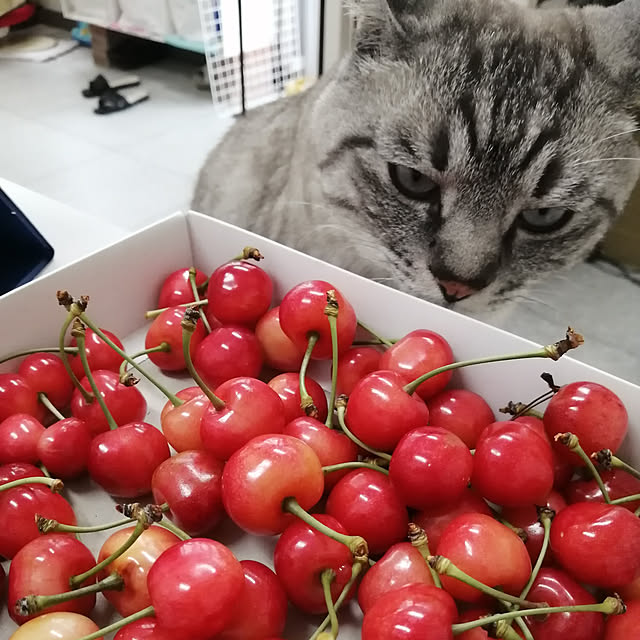 Manaさんの実例写真