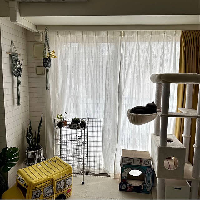 kittyさんの実例写真