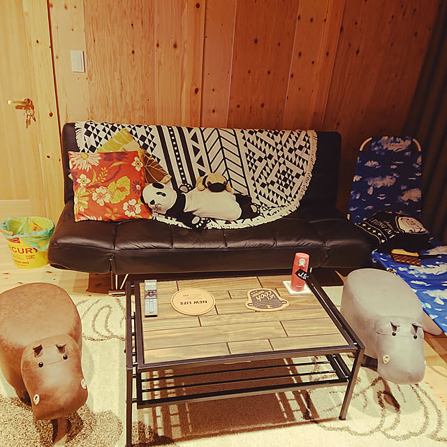skyさんの実例写真