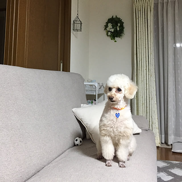 Junran50さんの実例写真