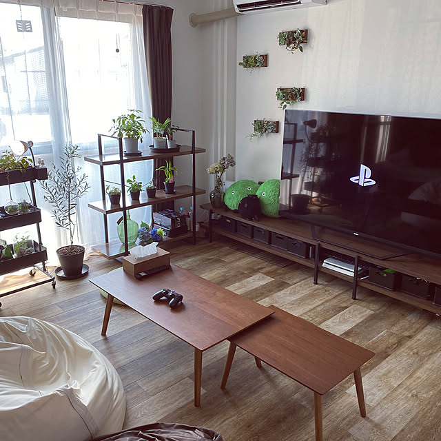 ナチュラル/観葉植物/ニトリ/一人暮らし/部屋全体のインテリア実例 - 2021-10-02 23:33:01