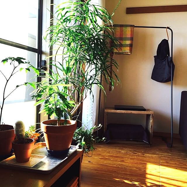 hanoruさんの実例写真