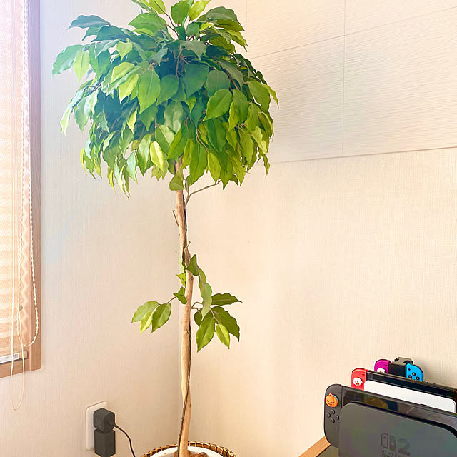 fuuchanさんの実例写真