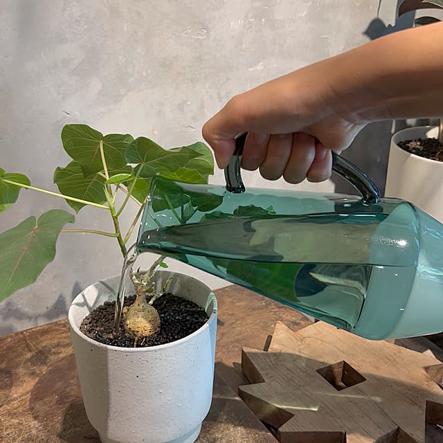 Royal_Gardeners_Clubさんの部屋