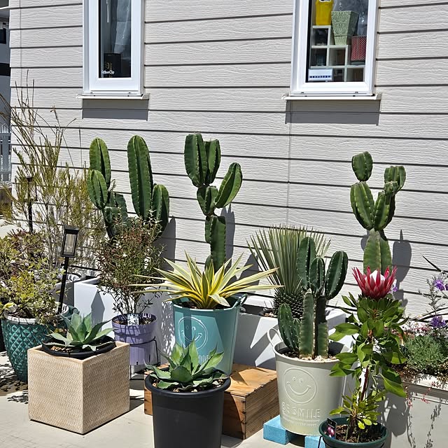 nonbiri_house_さんの部屋