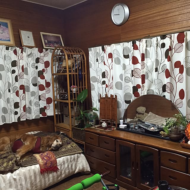 実例写真