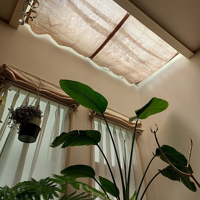 paroさんの部屋