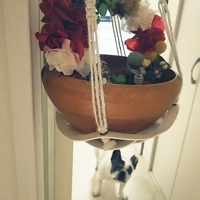 panchobiさんの実例写真