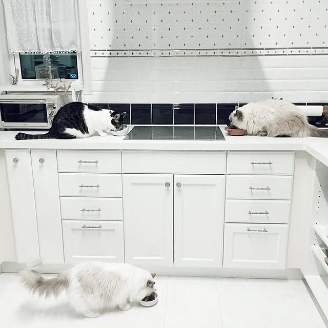 yuchiさんの実例写真