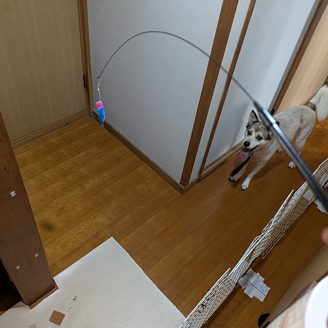 asaさんの部屋