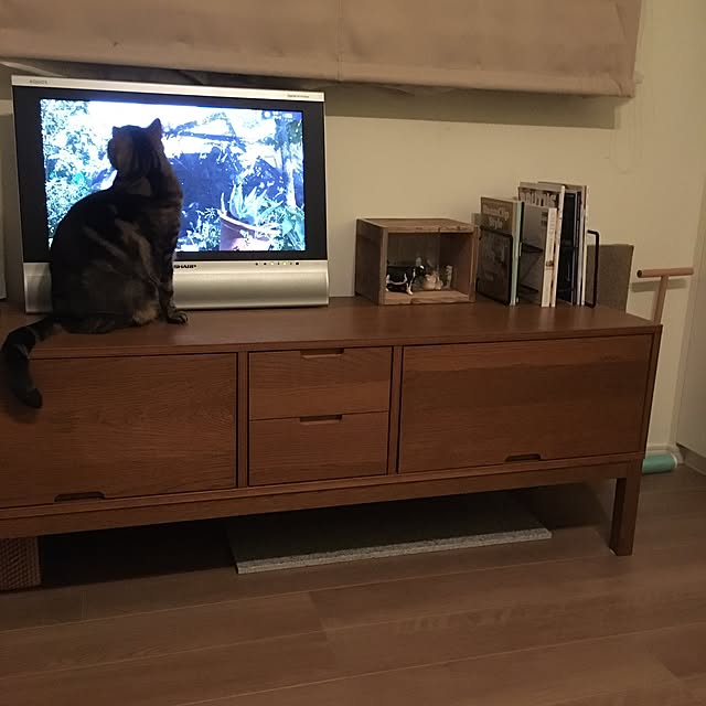 mikomaruさんの実例写真