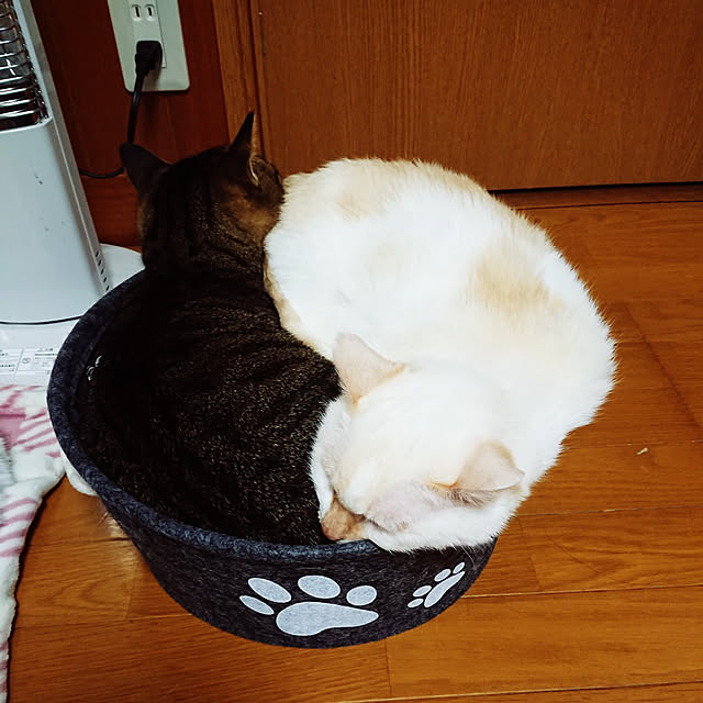 nachiさんの実例写真