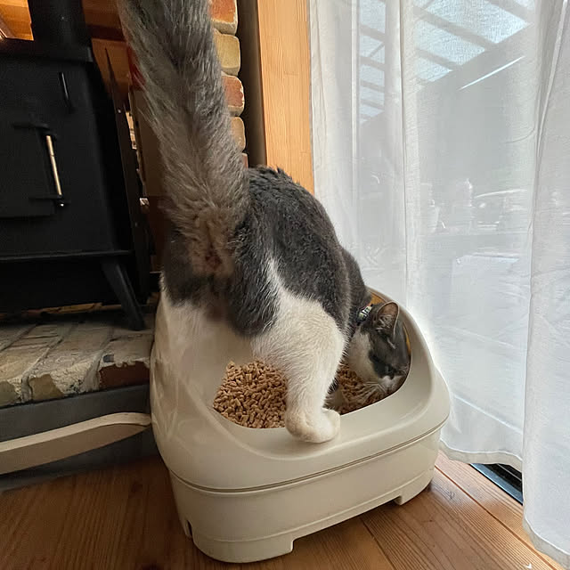 nekosamaさんの部屋