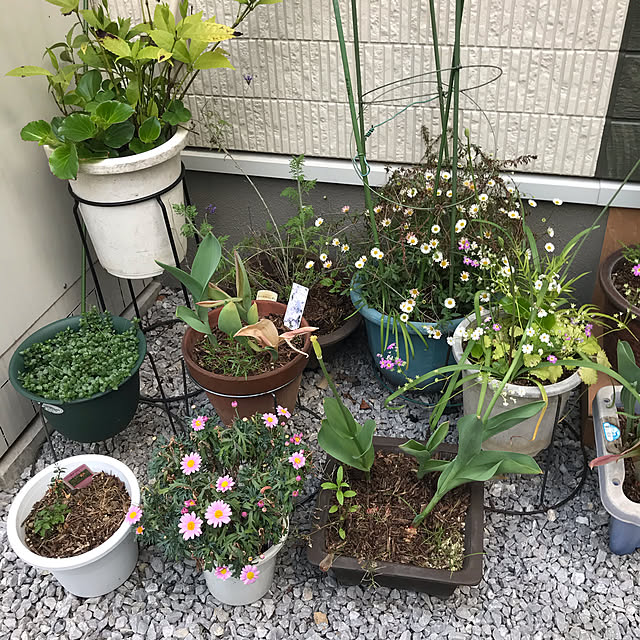EMIKOさんの実例写真