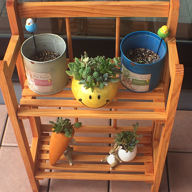 maiさんの実例写真