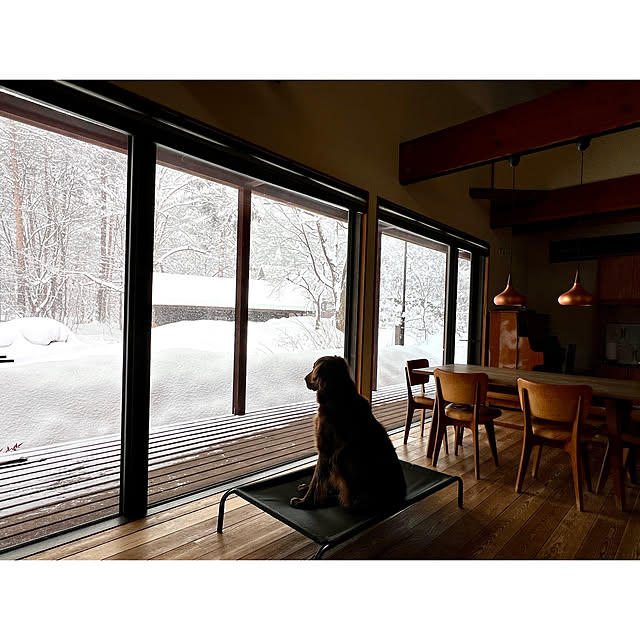 Kikko.さんの部屋