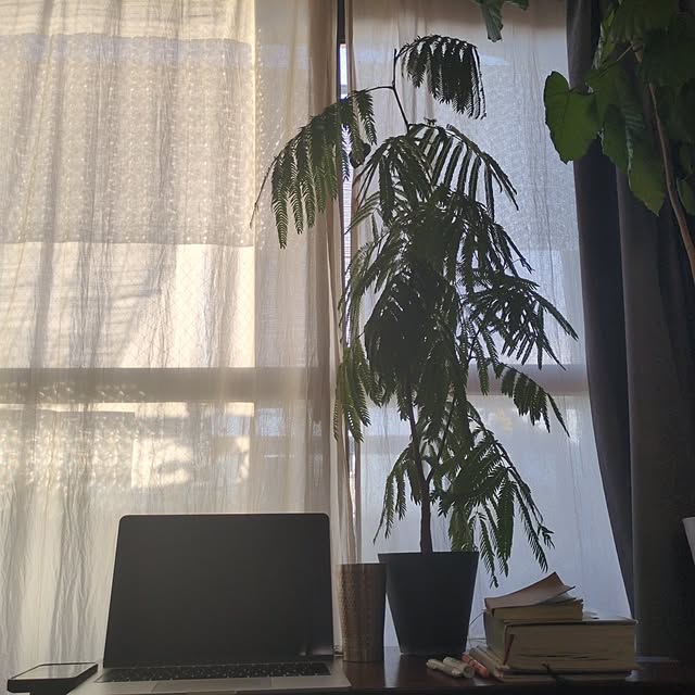 popoさんの実例写真