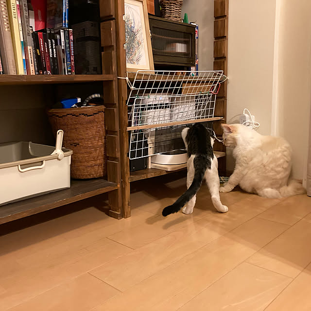 shuko22さんの実例写真