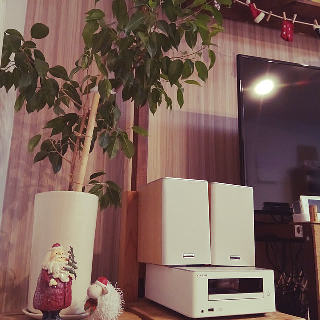tomanu31さんの実例写真