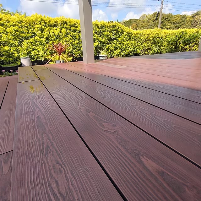 38catさんの部屋