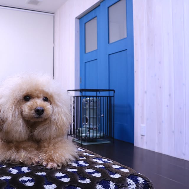 chibonさんの実例写真