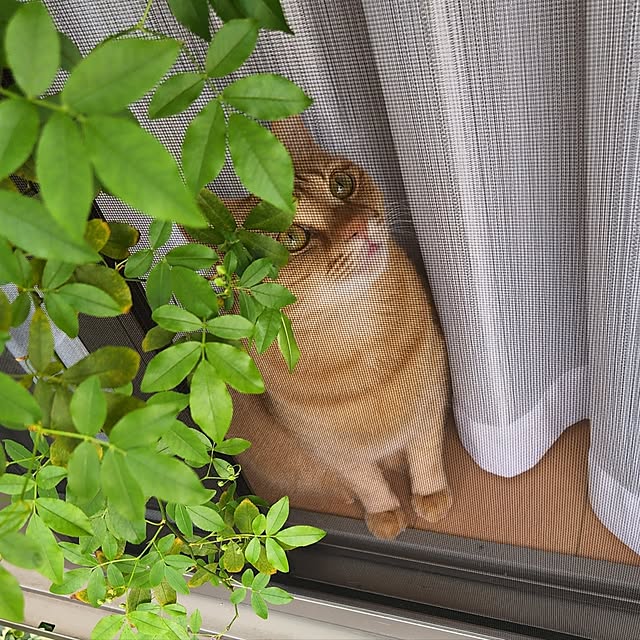 amtさんの実例写真
