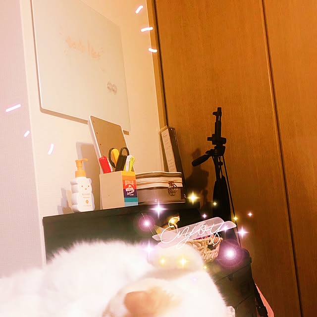 serinaさんの実例写真