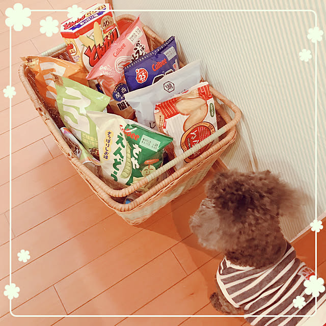 makkoさんの実例写真