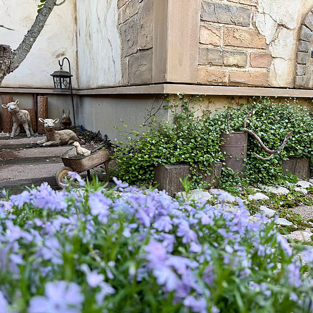 tabasaさんの実例写真